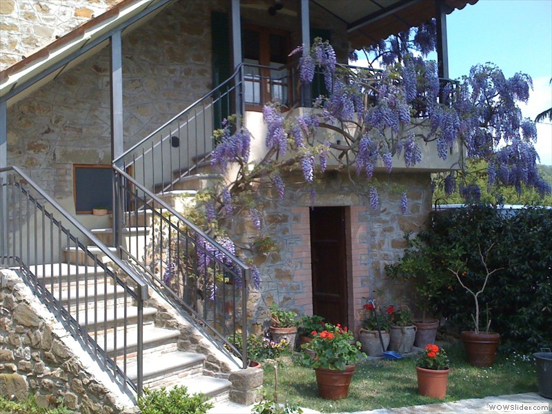 Casa Vitiano