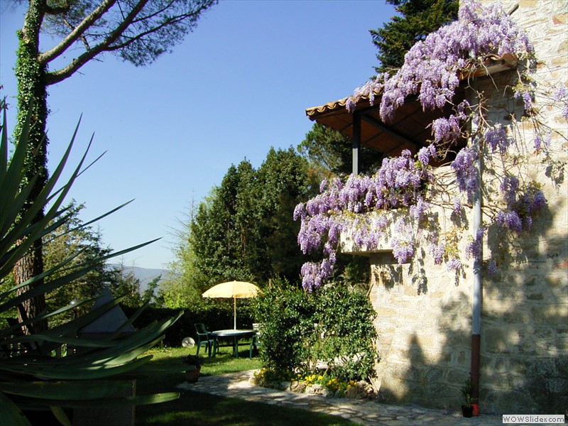 Casa Vitiano